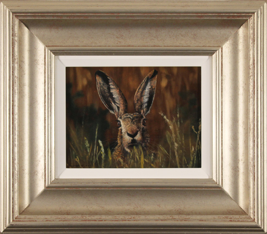 Stephen Park, Original oil painting on panel, Brown Hare, click to enlarge