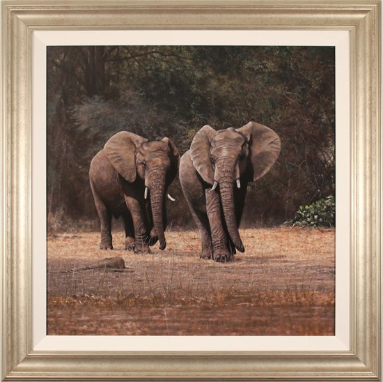 Stephen Park, Original oil painting on panel, Elephants 30x30ins, Art ...