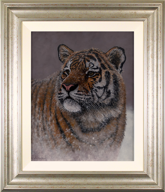 Stephen Park, Original oil painting on panel, Tiger