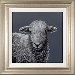 Stephen Park, Original oil painting on panel, Herdwick Ewe