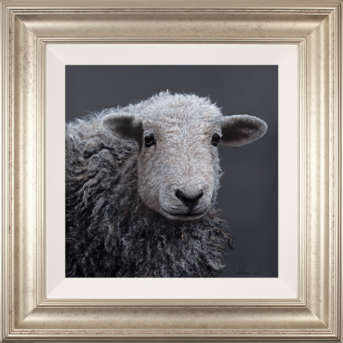 Stephen Park, Original oil painting on panel, Herdwick Ewe