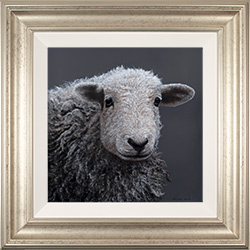 Stephen Park, Original oil painting on panel, Herdwick Ewe