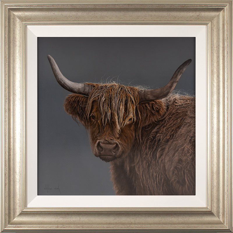 Stephen Park, Original oil painting on panel, Highland Cow