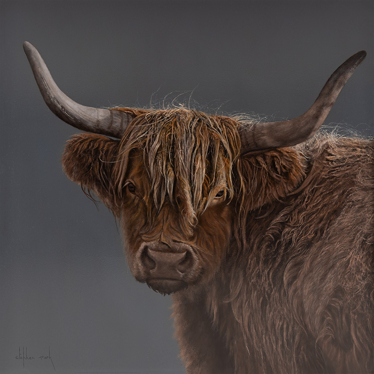 Stephen Park, Original oil painting on panel, Highland Cow