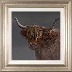 Stephen Park, Original oil painting on panel, Highland Cow