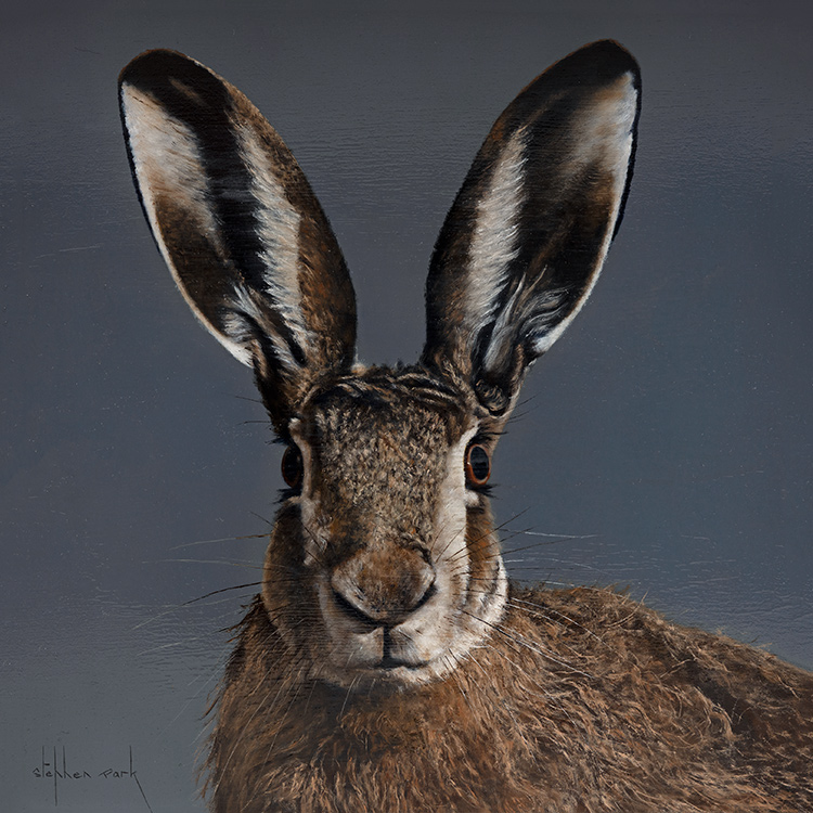 Stephen Park, Original oil painting on panel, Hare