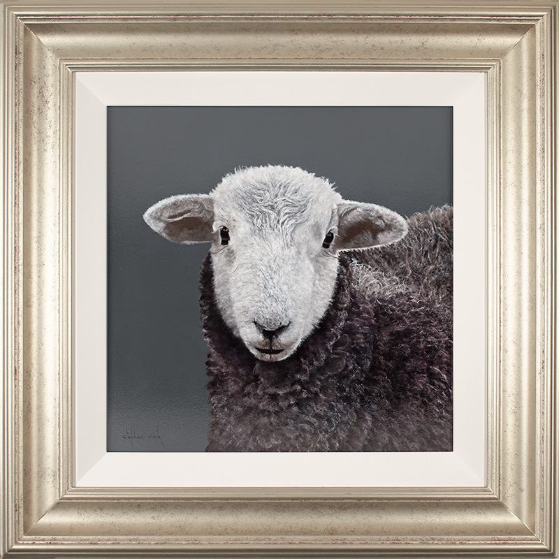 Stephen Park, Original oil painting on panel, Herdwick Lamb