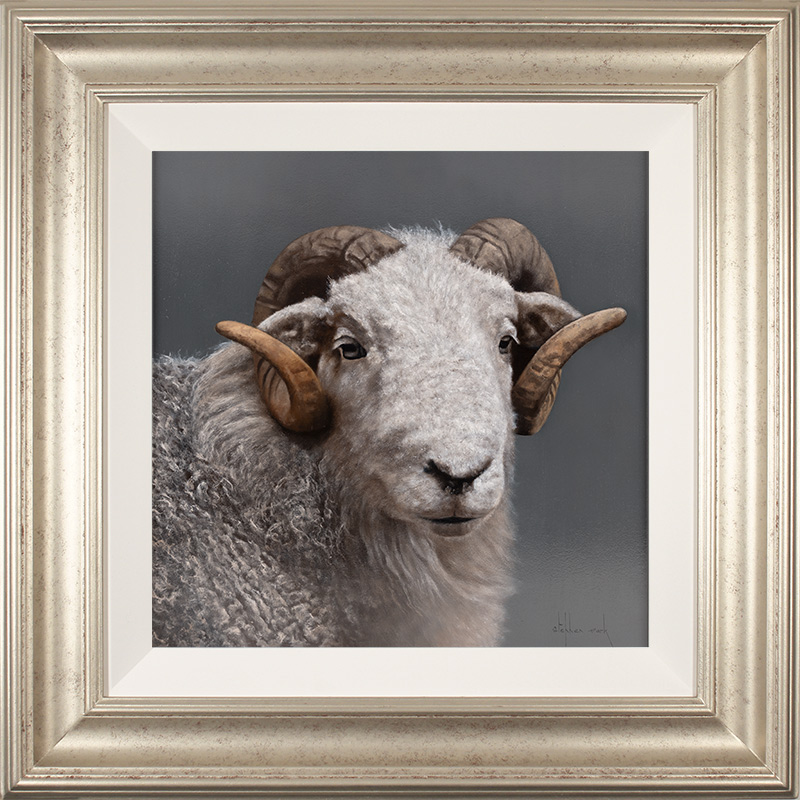 Stephen Park, Original oil painting on panel, Herdwick Ram
