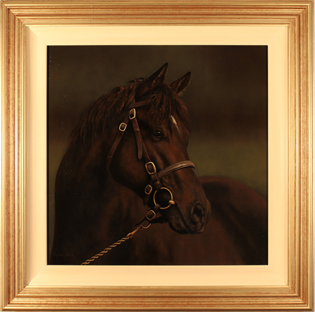 Stephen Park, Original oil painting on panel, Horse Portrait, click to enlarge