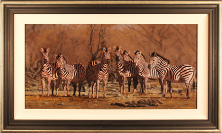 Stephen Park, Original oil painting on panel, Serengeti Zebras, click to enlarge