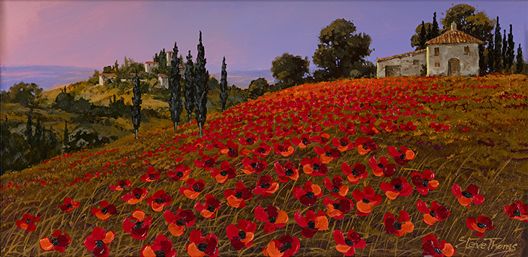 Steve Thoms, Original oil painting on panel, Tuscan Poppies