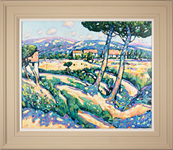 Farmhouses in Provence