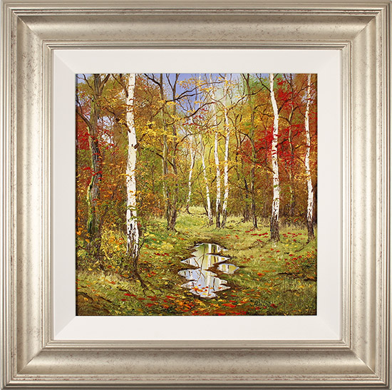 Terry Evans, Original oil painting on canvas, Autumn Birch Wood , click to enlarge