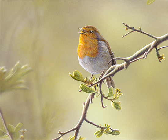 Wayne Westwood, Limited edition print, A Sweet Song