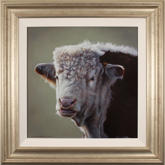 Wayne Westwood, Original oil painting on panel, Hereford Bull