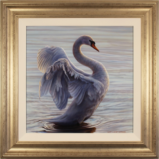 Wayne Westwood, Original oil painting on panel, White Swan, click to enlarge